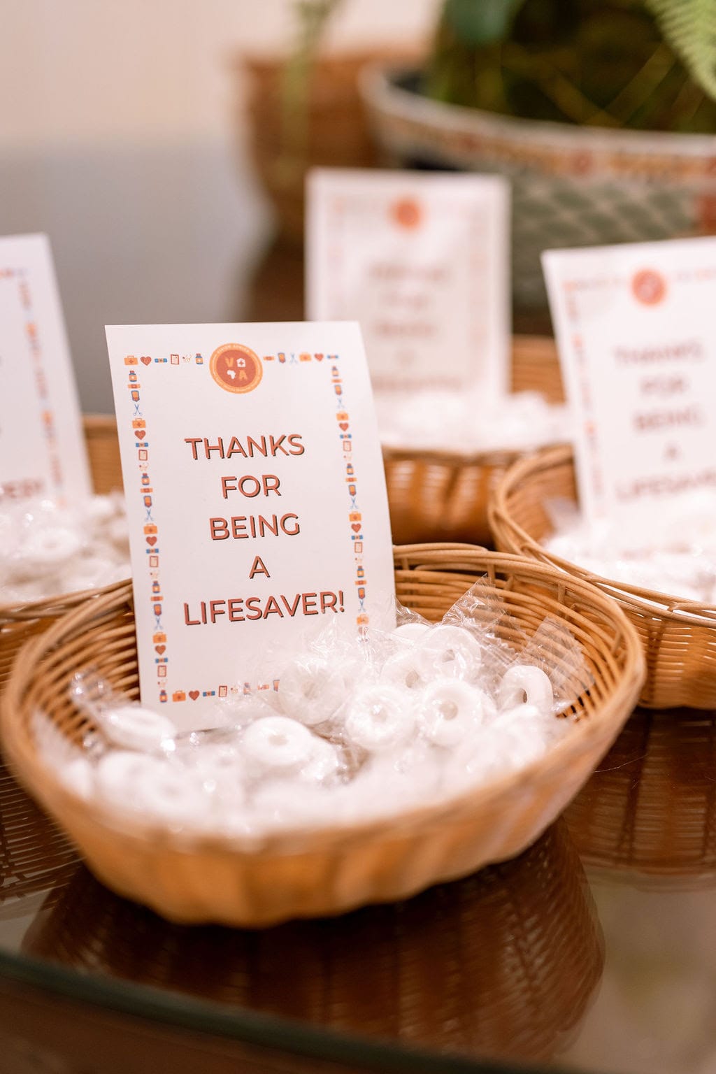 Vision Africa Fall Luncheon
